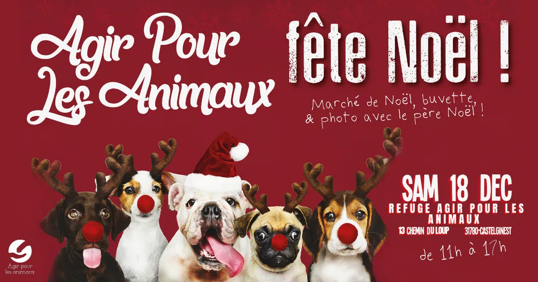 Noël des animaux